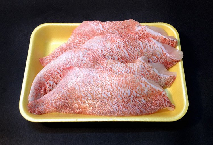 Red Snapper Fillet - Click Image to Close