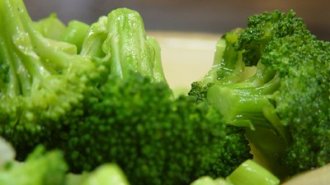 Steamed broccoli (13.49/lb)