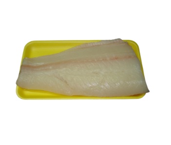 Halibut Fillet